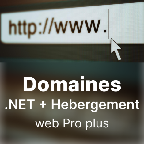 Domaines   .NET + Hebergement web Pro plus