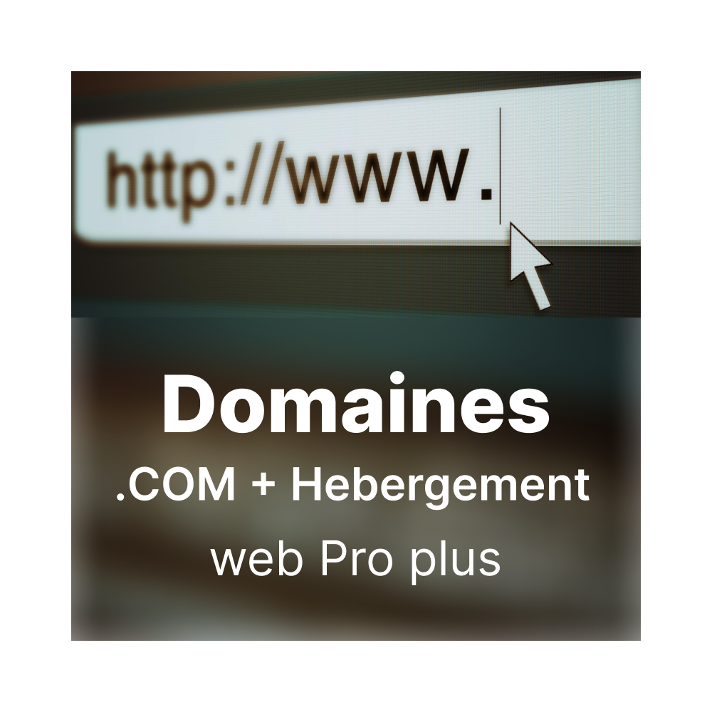 Domaines .COM + Hebergement web Pro plus
