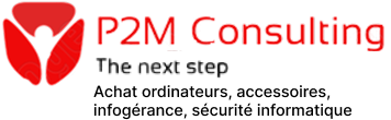 P2M Consulting